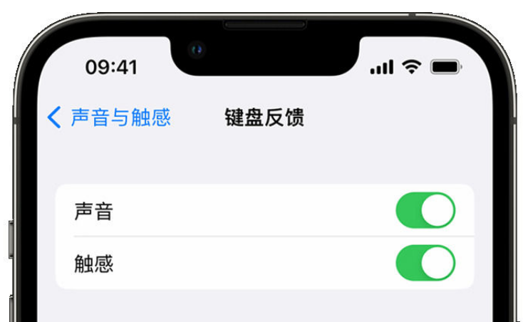 黄平苹果手机维修分享iPhone 14触感键盘使用方法 