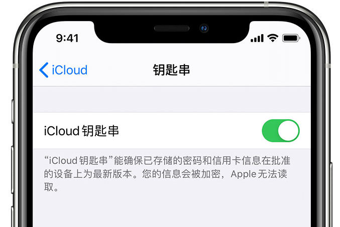 黄平苹果手机维修分享在 iPhone 上开启 iCloud 钥匙串之后会储存哪些信息 