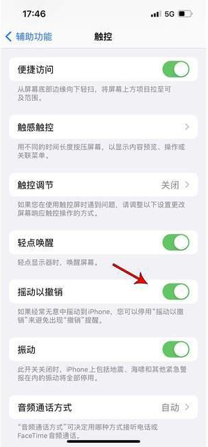 黄平苹果手机维修分享iPhone手机如何设置摇一摇删除文字 